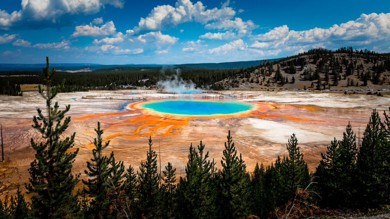 Yellowstone National Park