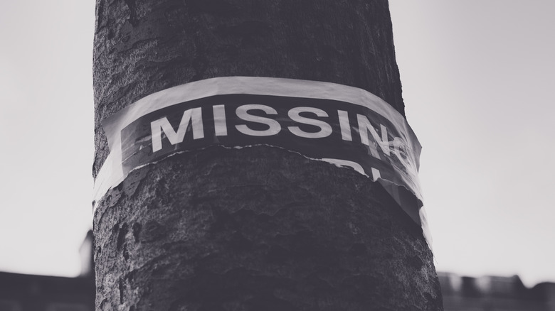 Missing poster