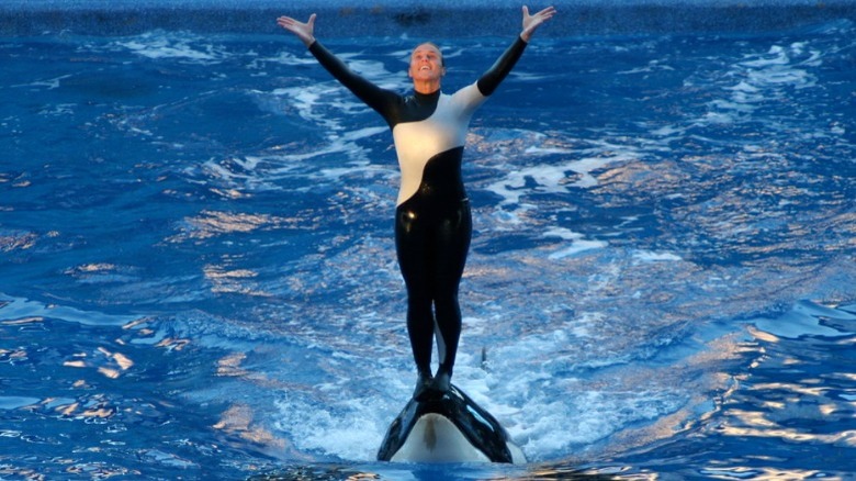 Dawn Brancheau performing with an orca