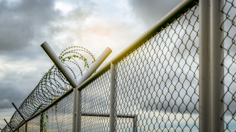 Prison security fence 