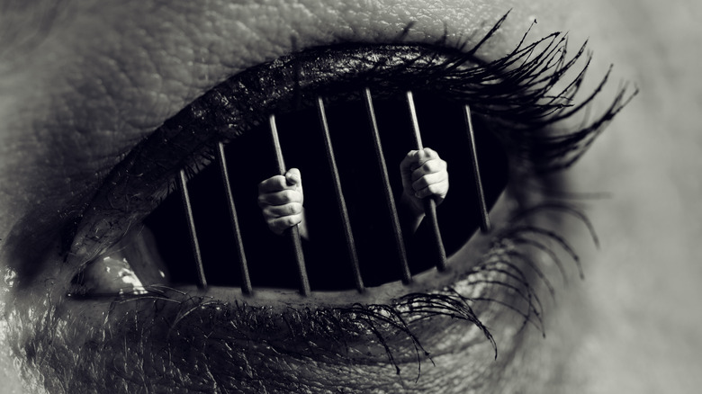 prison cell bars of the mind