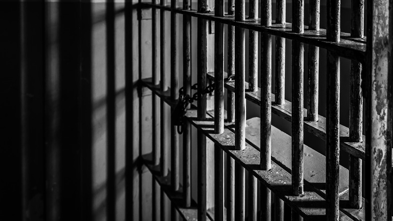 prison cell bars