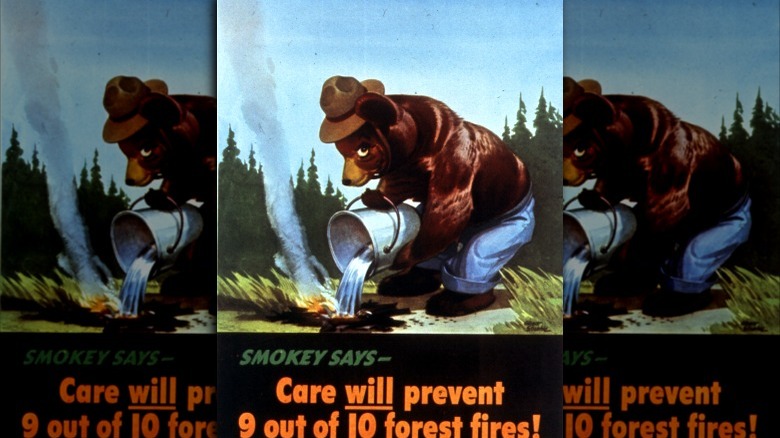 first Smokey Bear painting by Albert Staehle