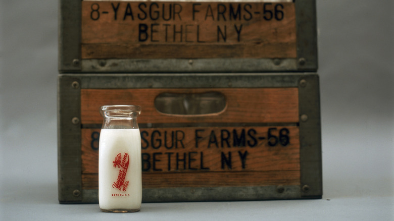 Yasgur farms milk bottles display