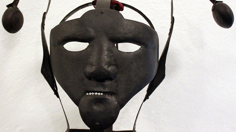 Bridle mask