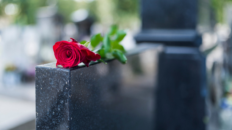 a rose atop a tombstone