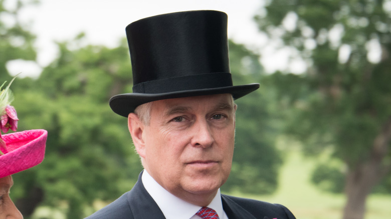 Cropped photo of Prince Andrew in 2017