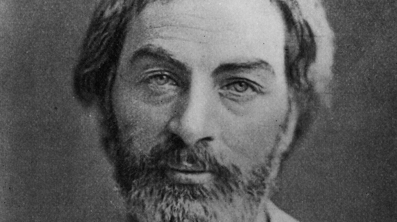 Young Walt Whitman