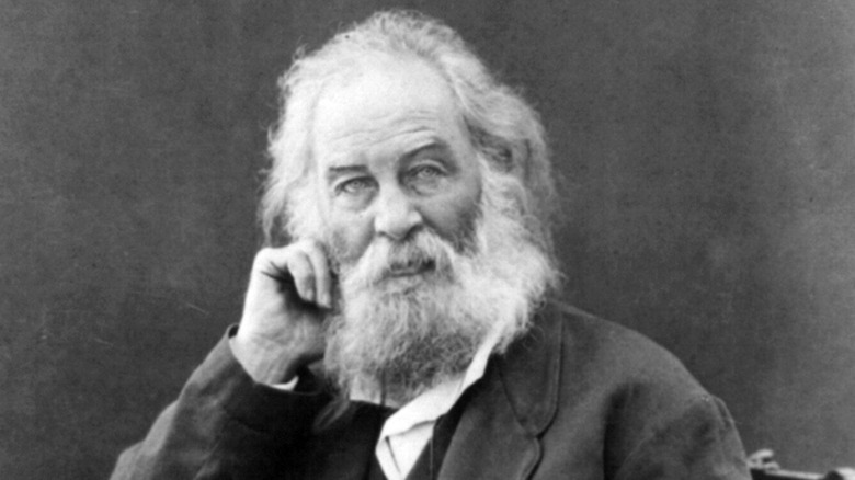 Older Walt Whitman