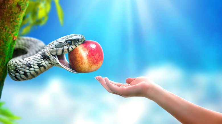 snake giving eve the apple