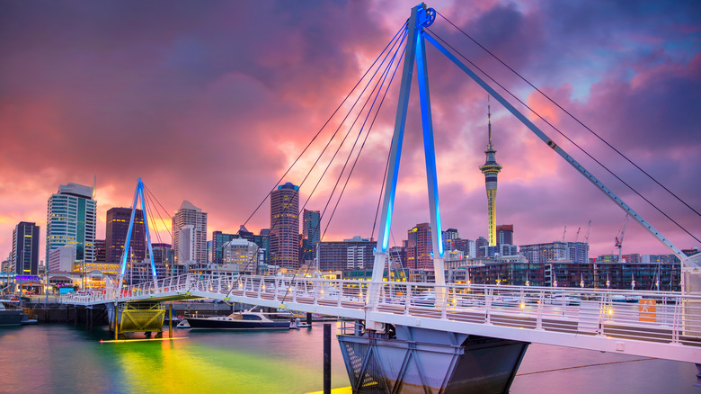 auckland from a bridge