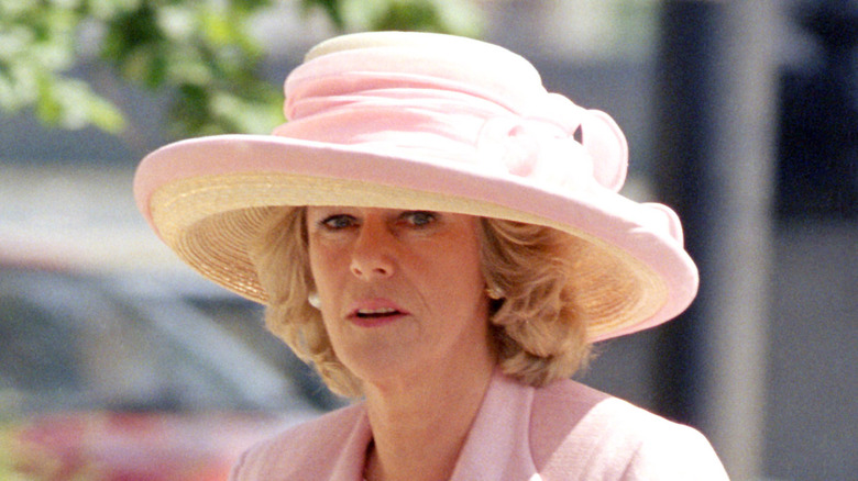 Camilla Parker Bowles pink hat