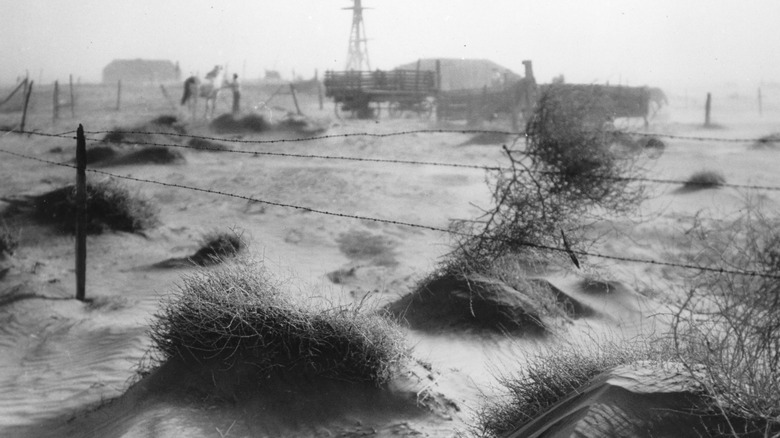 Farmstead hit by dust storm