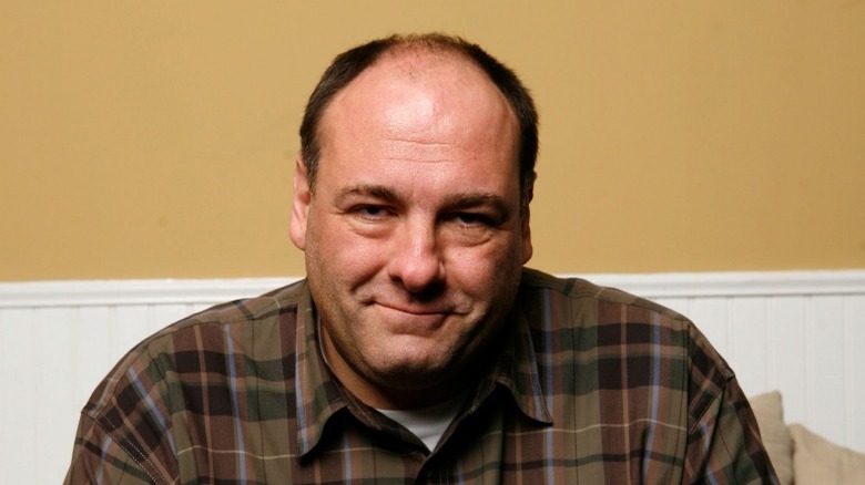 James Gandolfini smiling orange background