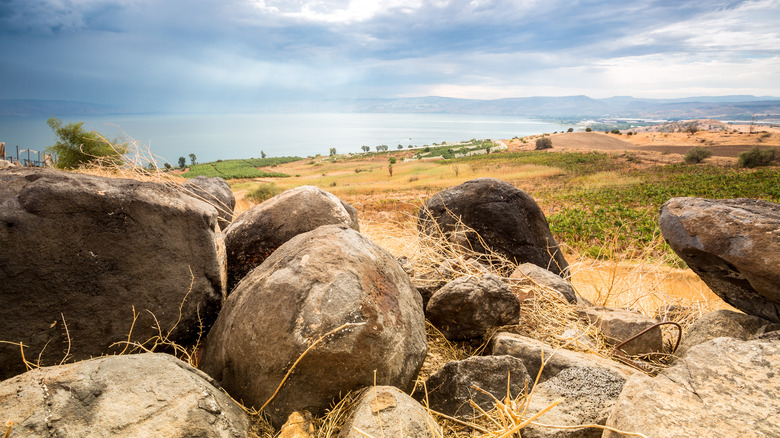 View of ocean from hill top