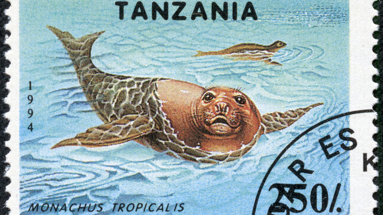 Caribbean monk seal stamp