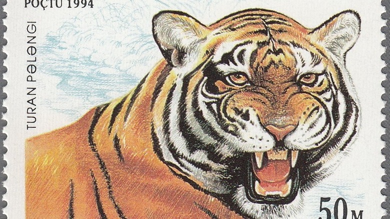 Caspian tiger stamp