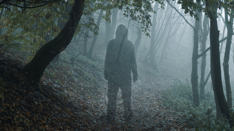 Man vanishing woods