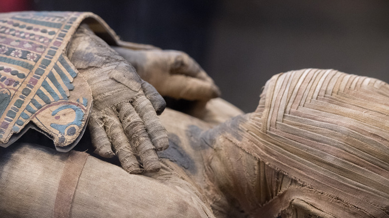 Closeup of an Egyptian mummy