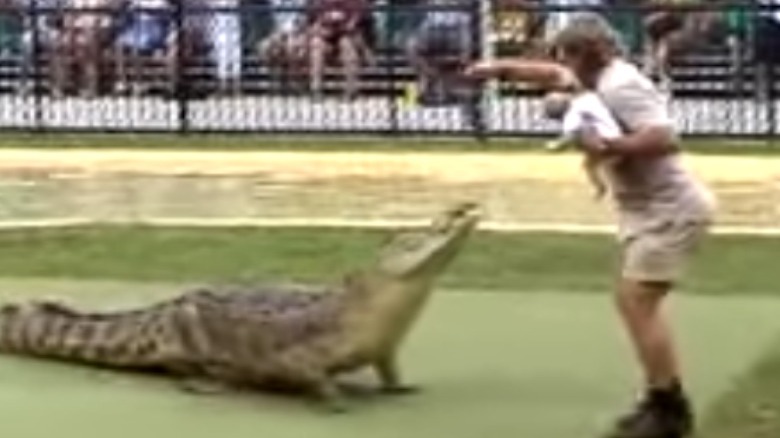 Steve Irwin, baby and crocodile