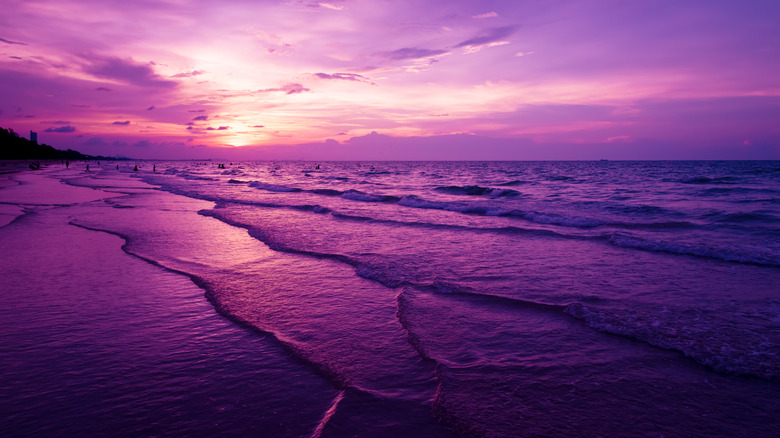 beach at twilight