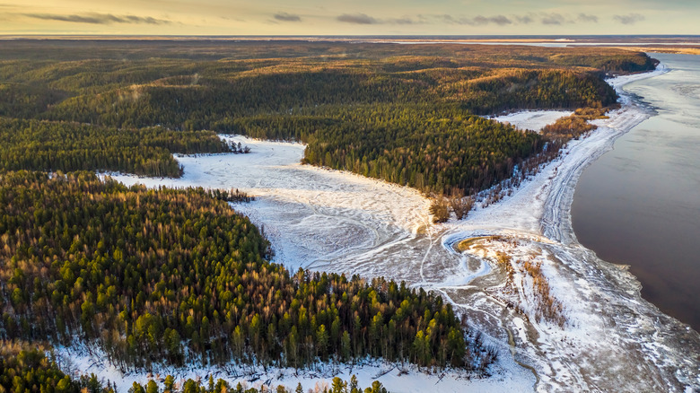 Frozen Ob river