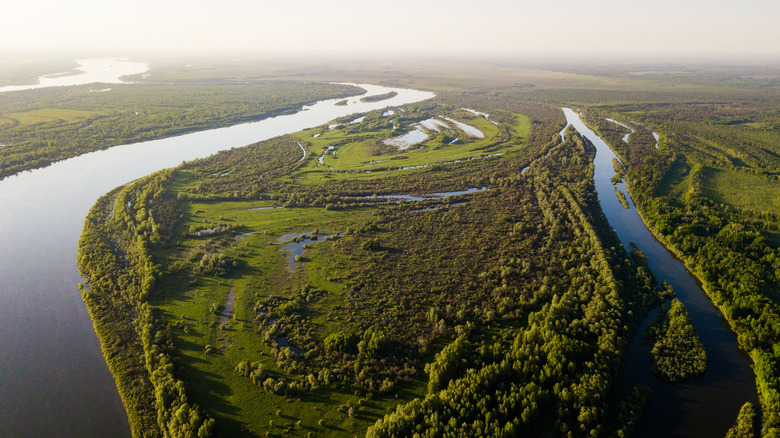 Ob flow through taiga