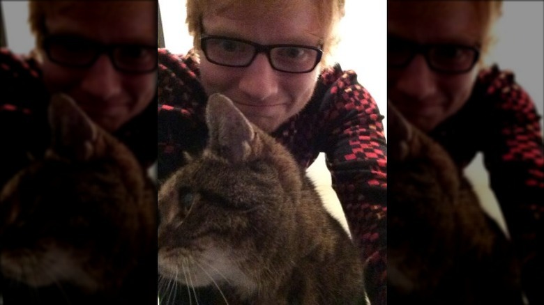 Ed Sheeran with his cat, Graham