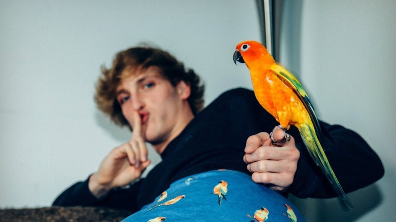 Logan Paul with parrot
