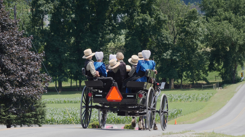 An Open Horse and Buggy With An Entire Amish Family Traveling in it on a Sunny Sunday