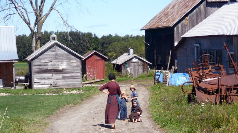 Amish farm kids at home on the outskirts of Morristown,New York, 2012