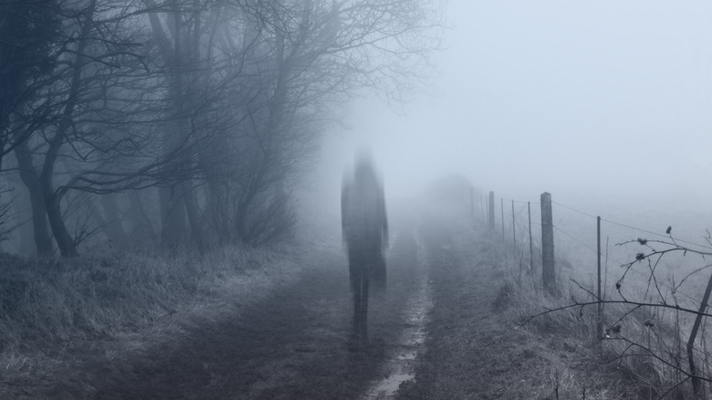 Vanishing woman in the mist