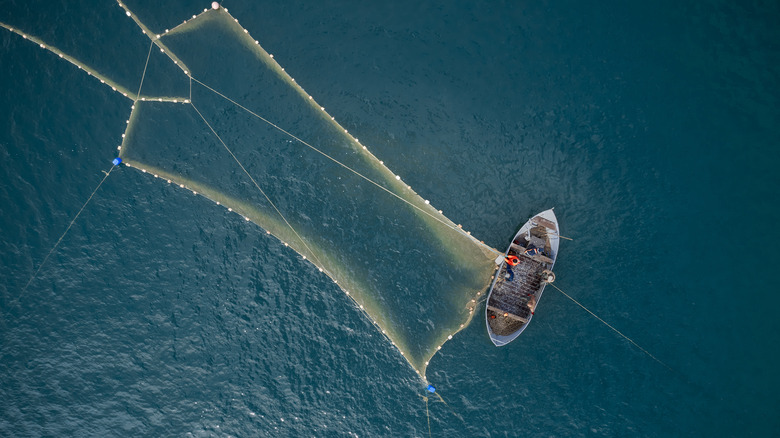 fishing boat with net