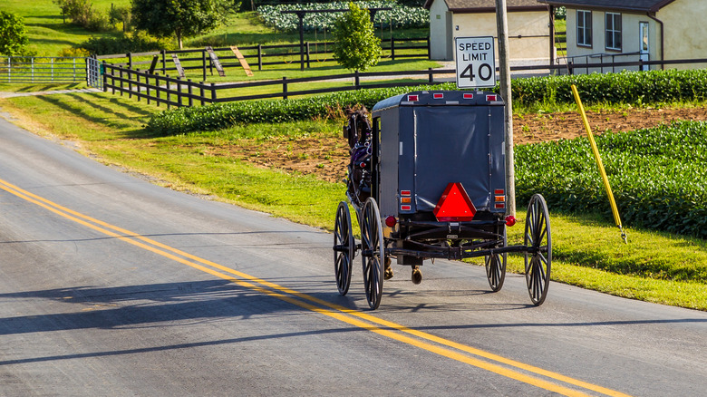 Amish horse and buggy