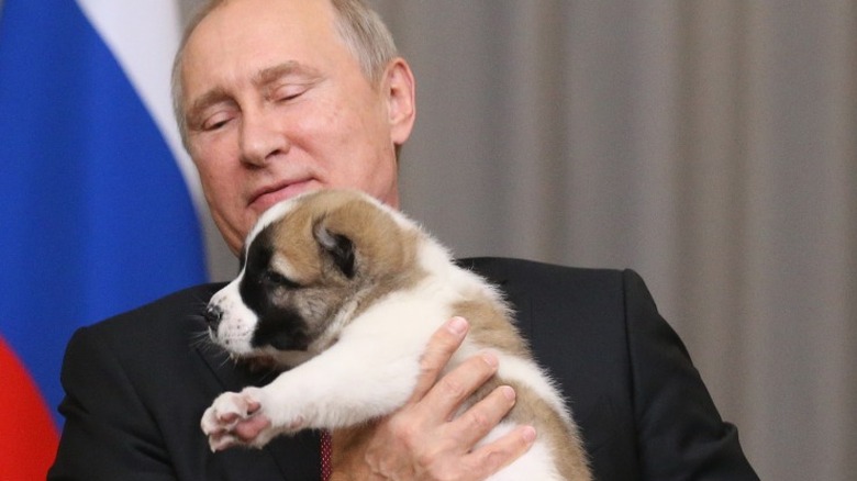 Vladimir Putin holding puppy