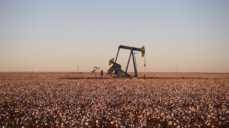 Oil pumpjack east of Andrews, Texas, 2009