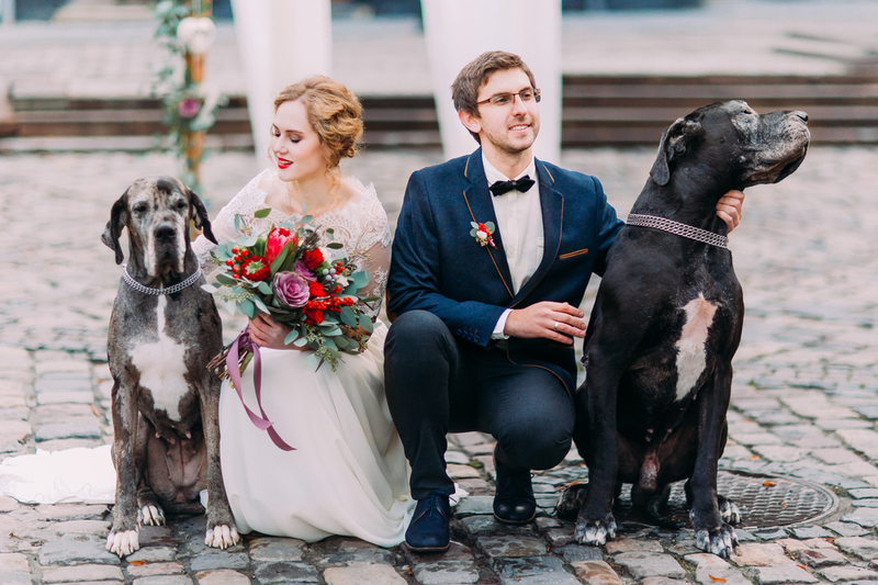 6 Great Dating Sites For Animal Lovers Pictellme