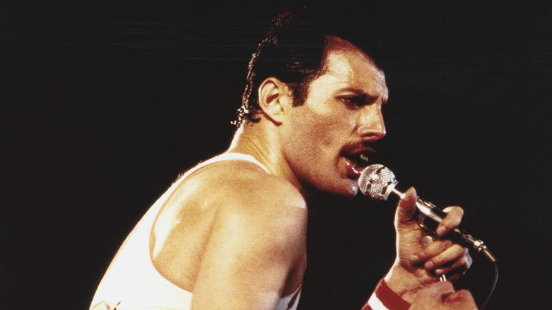 Freddie Mercury in profile singing