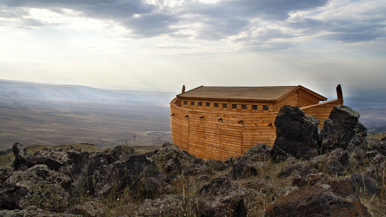 ark on a mountain 